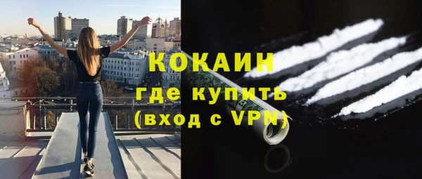 таблы Гусев
