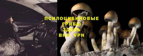 а пвп мука Гусь-Хрустальный