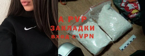 таблы Гусев