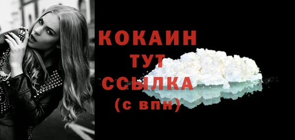 таблы Гусев