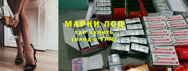 таблы Гусев