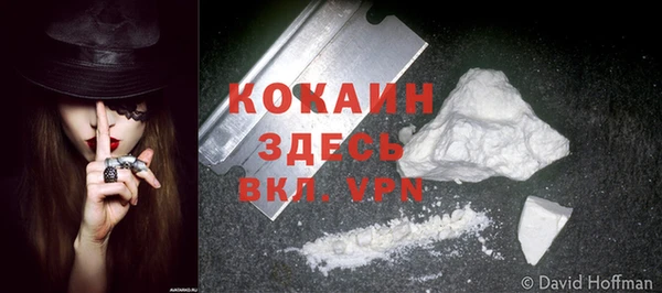 а пвп мука Гусь-Хрустальный